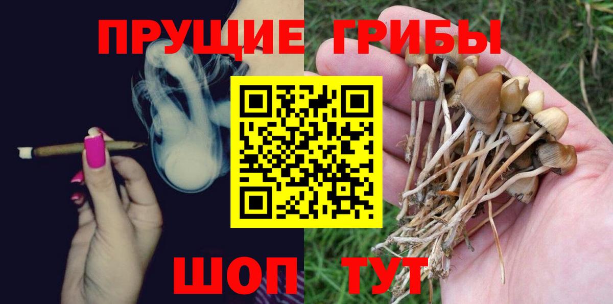 Галлюциногенные грибы Cubensis  Галлюциногенные грибы прущие грибы  Острогожск  Вход с VPN 