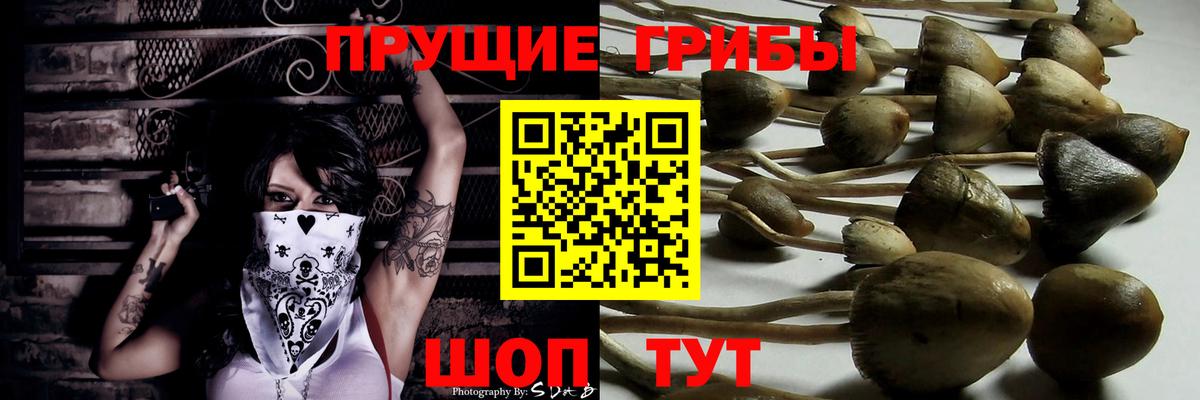 Псилоцибиновые грибы мицелий Острогожск